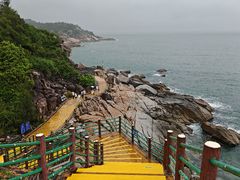 -广东惠东海龟国家级自然保护区