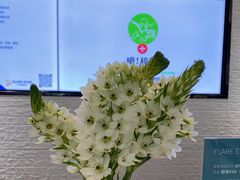 -FLARE STAR FITNESS(复地活力城店)