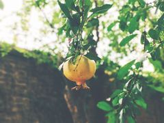 -boundaries籬苑(瑞光创意工厂-贰号院店)