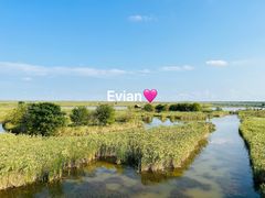 -盐城丹顶鹤湿地生态旅游区