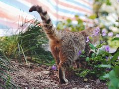 -苏州河梦清园环保主题公园