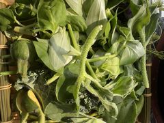 -慢丽江·云南野生菌土鸡锅(西山店)