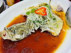 -新合益乡村农庄