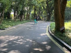 -东湖景区