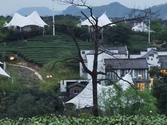 -帐篷客·溪龙茶谷度假酒店