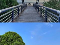 -阳澄湖半岛旅游度假区