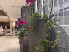 -广州白云机场雅高铂尔曼大酒店