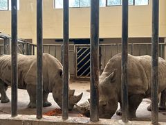 -石家庄市动物园