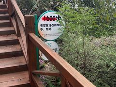 -大岭沟猕猴桃谷风景区