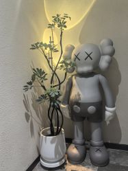 -玛莲朵·海菲秀冰珀科
