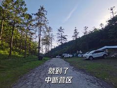 -武陵山森林公园