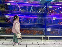 -大润发(康桥店)