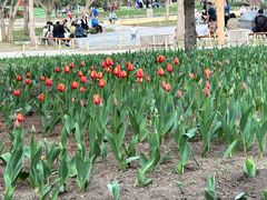 -长春公园(普阳街道)