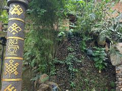 -海南槟榔谷黎苗文化旅游区