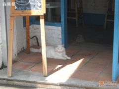 -Babycat私家御饼屋(龙头路一店)