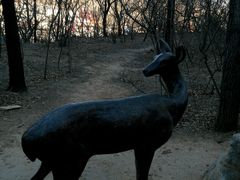 android_upload_pic-北京周口店北京人遗址博物馆