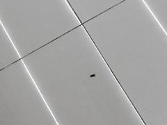 -爱达乐面包生日蛋糕(华油路店)