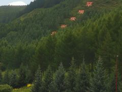 -塞罕坝国家级自然保护区