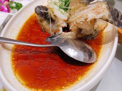 清蒸大龙胆-南海渔村(火炬园店)
