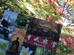 -常寂光寺
