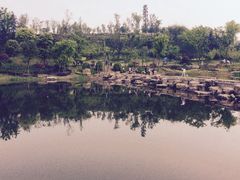 -卧龙湖