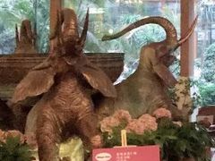-杭州第一世界大酒店·云曼温泉