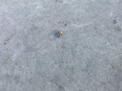 -长洲岛都市农业公园