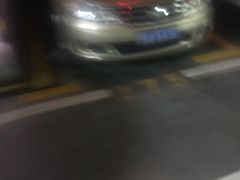 -新江湾城公园