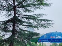 -白塔山公园