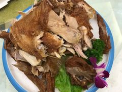 -光辉公鸡馆(事业小区店)