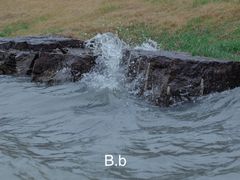 -东钱湖阳光沙滩