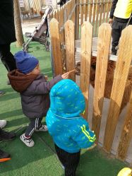 -萌宠亲子动物乐园(槐房万达店)