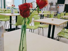 -中科大东区东苑餐厅(天使路店)