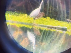 -重庆彩云湖湿地公园