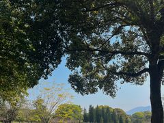 -福建鲤鱼洲酒店