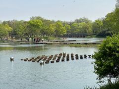 -西溪国家湿地公园