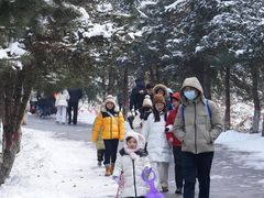 -少华山国家森林公园