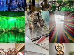 -中国湿地博物馆