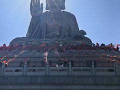 -龙口南山旅游景区