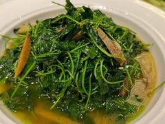 -洋洋中餐馆·SINCE 1997(信投店)
