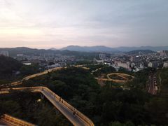-福道