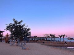 -北戴河碧螺塔海上酒吧公园