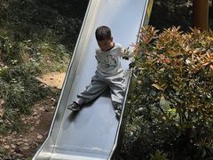 -东明山森林公园