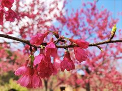 -福清灵石山国家森林公园