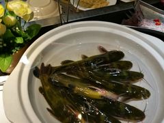 -老家信阳菜(北京路店)