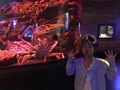 -暹罗海洋世界