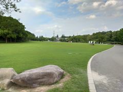 -昆山城市生态森林公园