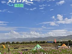 -青海湖国家重点风景名胜区