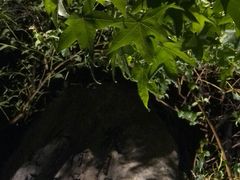 -映月潭温泉