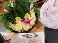 -淼福猪肚鸡·椰子鸡火锅(大沙地店)